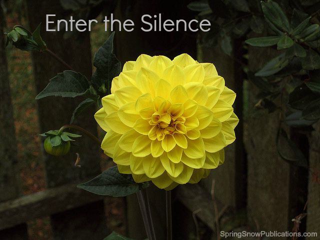 Enter the Silence