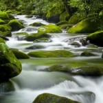 Tao Te Ching for Writers: Peace Flows In